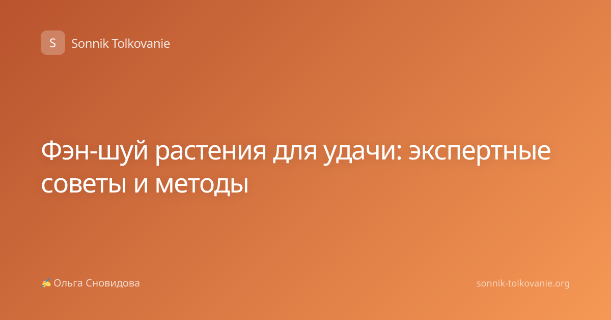 Фэн-шуй растения для удачи: экспертные советы и методы