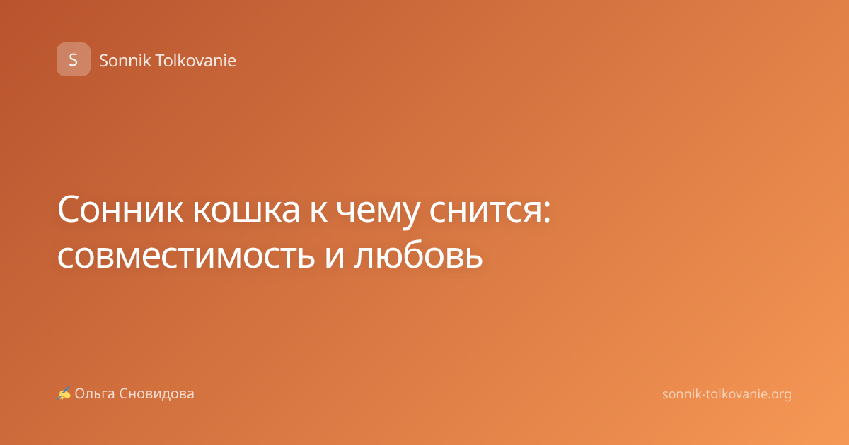 Сонник кошка к чему снится: совместимость и любовь